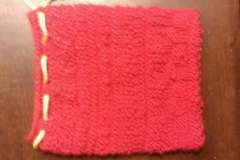 Bryan's pouch